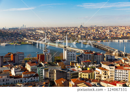 Aerial view of Istanbul 124067331