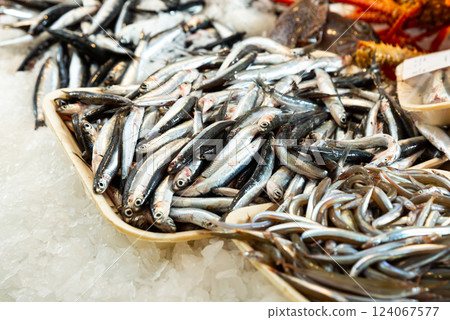 Pile of fresh anchovies fishes laying on the ice on the market 124067577