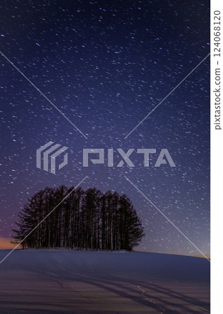 北海道美瑛町「Mild Seven Hill」雪景與夜空[動態] 124068120