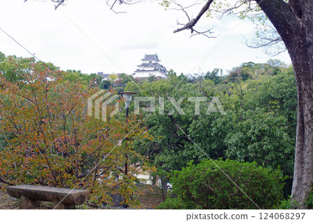 Wakayama Castle as seen from Oka Park 124068297