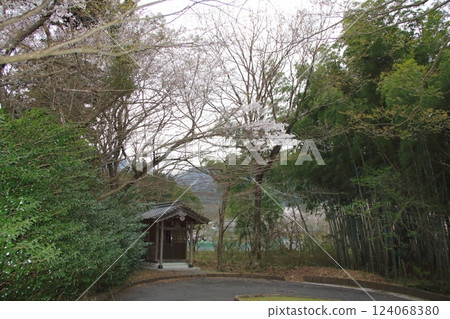 華嚴寺之春 八木組山 22（岐阜縣揖斐川町八木組） 124068380