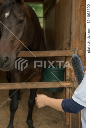 刷 馬 馬兒 124068800