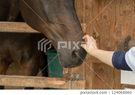 horse, female, lady 124068860