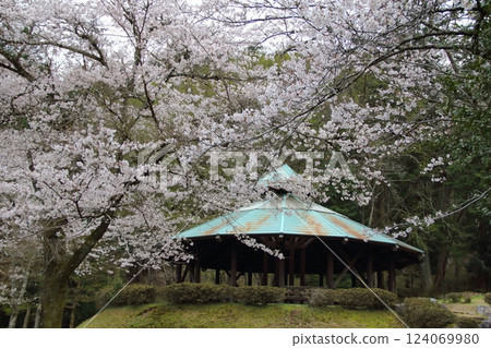 華嚴寺之春·八木組山·19（岐阜縣揖斐川町八木組） 124069980