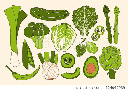 Green vegetable set. Fresh vegetables, organic food with cartoon natural plants leafy salad, healthy veggies grocery cooking concept. Vector collection 124069989