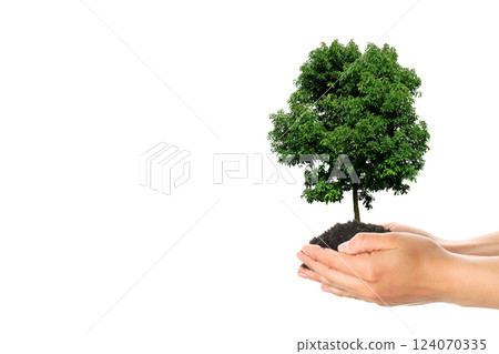 Earth Day, green tree in hands on white background, space for text Earth Day, green tree in hands on white background, space for text 124070335