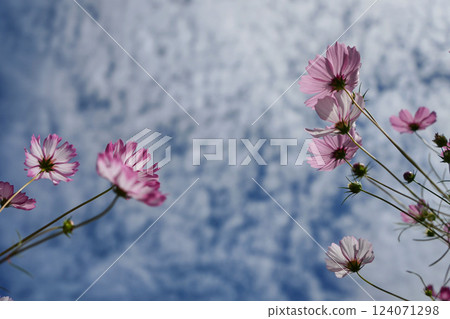 宇宙在秋天的天空中閃耀 124071298