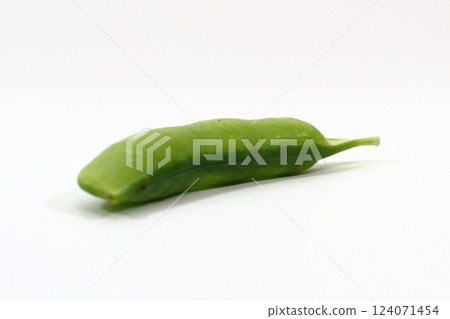 Green peas, a beautiful green color 124071454