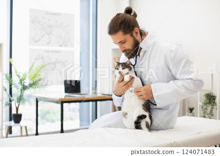 Bearded male veterinarian assessing white and gray adult cat's health with a stethoscope in light-filled animal clinic. Includes anatomical posters and indoor plants 124071483