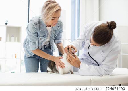 Veterinarian performing oral health checkup on domestic cat with female owner assisting during visit. Professional healthcare services for pets in bright modern veterinary clinic environment. Veterinarian performing oral health checkup on domestic cat with female owner assisting during visit. Professional healthcare services for pets in bright modern veterinary clinic environment. 124071490