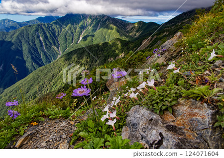 Southern Alps, Mount Senmai and Mount Akaishi 124071604