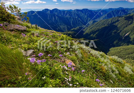 A view of the alpine plant community on Mt. Senmai in the Southern Alps and Mt. Karasugatake and Mt. Hikari A view of the alpine plant community on Mt. Senmai in the Southern Alps and Mt. Karasugatake and Mt. Hikari 124071606