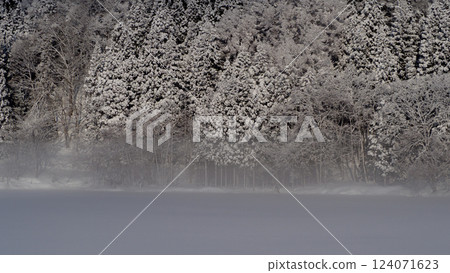 Morning mist and snow-covered trees, Omachi City, Nagano Prefecture 124071623