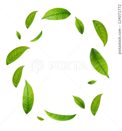 Green Floating Leaves Green Floating Leaves 124071772