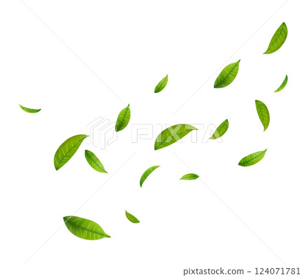 Green Floating Leaves 124071781
