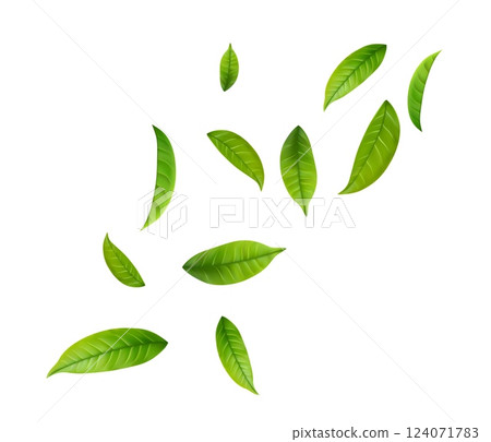 Green Floating Leaves 124071783