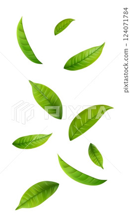 Green Floating Leaves 124071784