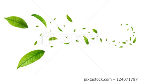 Green Floating Leaves 124071787