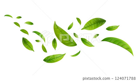 Green Floating Leaves 124071788