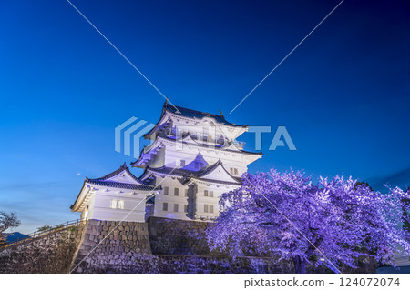 小田原城夜景：燈光璀璨的天守閣與夜晚的櫻花[神奈川縣小田原市] 124072074