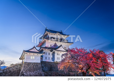 Night view of Odawara Castle: The castle tower and cherry blossoms lit up in red [Odawara City, Kanagawa Prefecture] 124072075