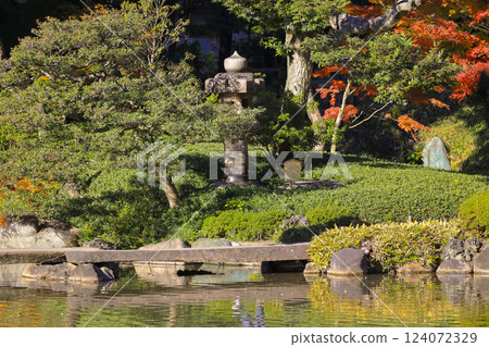 Woodland Scene with Autumn Colors and Small Forest Stream, Tokyo Dec 6 2024 Woodland Scene with Autumn Colors and Small Forest Stream, Tokyo Dec 6 2024 124072329