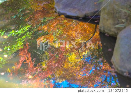 Reflected on a Calm Water Surface Under Soft Sunlight, Tokyo Dec 6 2024 Reflected on a Calm Water Surface Under Soft Sunlight, Tokyo Dec 6 2024 124072345