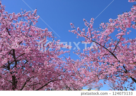 伊勢崎市未來公園 伊勢崎市未來公園 124073133