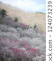 Yugawara Umezono 124073239
