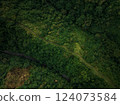 Aerial view of artist trail in Ubud, Bali 124073584