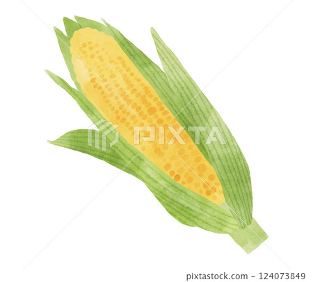 Watercolor style corn illustration 124073849