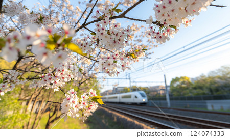 Spring Flowers and a Faint White Train in the Distance 124074333
