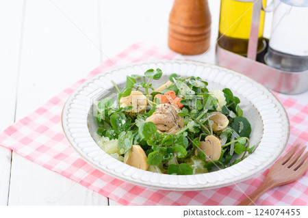 Stylish watercress and mushroom salad 124074455