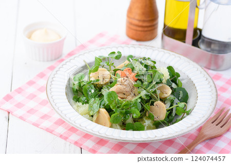 Stylish watercress and mushroom salad Stylish watercress and mushroom salad 124074457