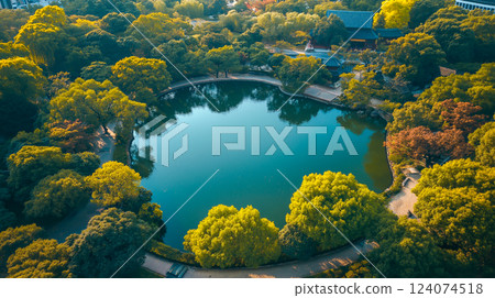 Serene pond surrounded by trees in a tranquil park 124074518