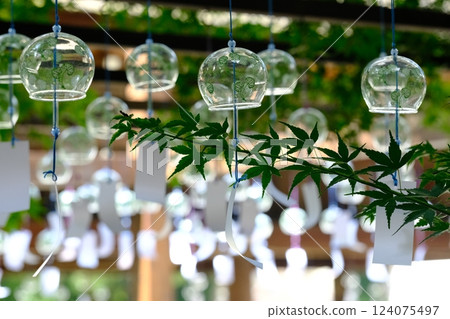 Image of cool summer with green maple leaves and wind chimes 124075497
