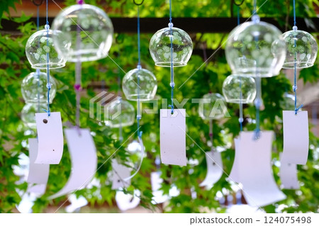 Image of cool summer with green maple leaves and wind chimes 124075498