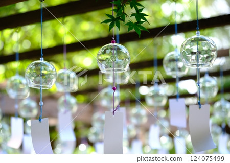 Image of cool summer with green maple leaves and wind chimes 124075499