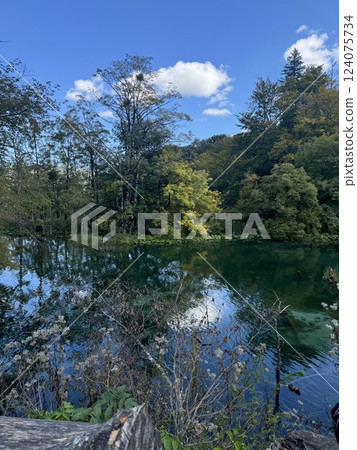 Sunny day in a park with a pond and forest in New Zealand 124075734