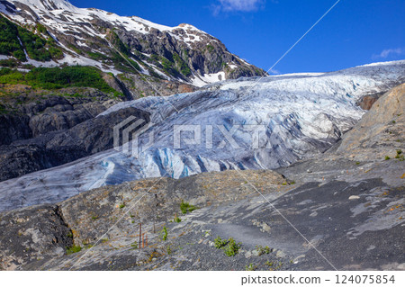 Exit Glacier 124075854