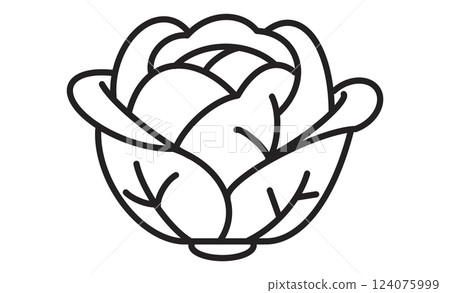 Cabbage simple line drawing icon. Monochrome illustration of vegetable. Cabbage simple line drawing icon. Monochrome illustration of vegetable. 124075999
