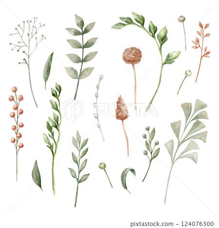 Watercolor set hand drawn from savage green and different branches with and without berries, dry branches. 124076300