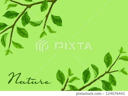 Background with branches and leaves. Spring or summer stylized foliage. Background with branches and leaves. Spring or summer stylized foliage. 124076441