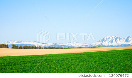 A refreshing blue sky and the scenery of Biei Town in Hokkaido in early summer A refreshing blue sky and the scenery of Biei Town in Hokkaido in early summer 124076472
