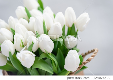 Mothers day, Valentines Day, Birthday celebration concept. Greeting card. Beautiful Bouquet of white delicate tulips. Copy space. Spring background. March 8, International Womens Day Mothers day, Valentines Day, Birthday celebration concept. Greeting card. Beautiful Bouquet of white delicate tulips. Copy space. Spring background. March 8, International Womens Day 124076599