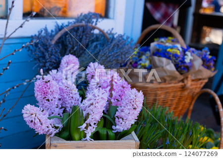 A Vibrant Display of Colorful Flower Arrangements Featuring Beautiful Pink Hyacinths, Lavender, and More Bouquets in Baskets Against a Charming Blue Wooden Background A Vibrant Display of Colorful Flower Arrangements Featuring Beautiful Pink Hyacinths, Lavender, and More Bouquets in Baskets Against a Charming Blue Wooden Background 124077269