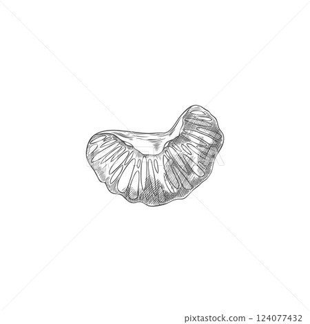 Orange slice in black and white sketch hand drawn vector illustration. 124077432