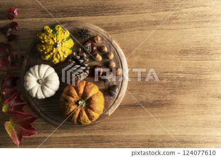 Empty Thanksgiving background with pumpkins Empty Thanksgiving background with pumpkins 124077610