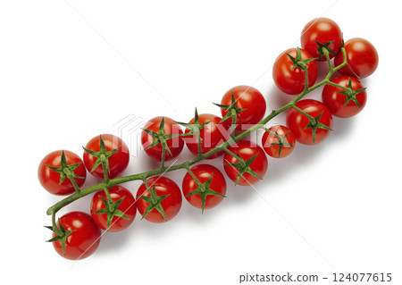 Cherry tomato branch isolated on white 124077615