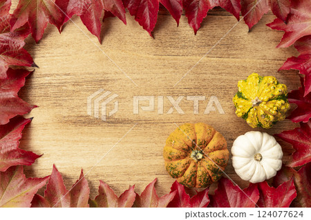 Thanksgiving day banner with pumpkins 124077624